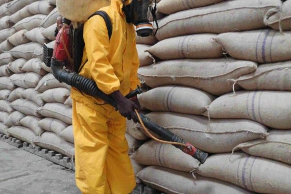 alhijaz-professional-fumigation-and-pest-control-services-in-Nairobi-Kenya